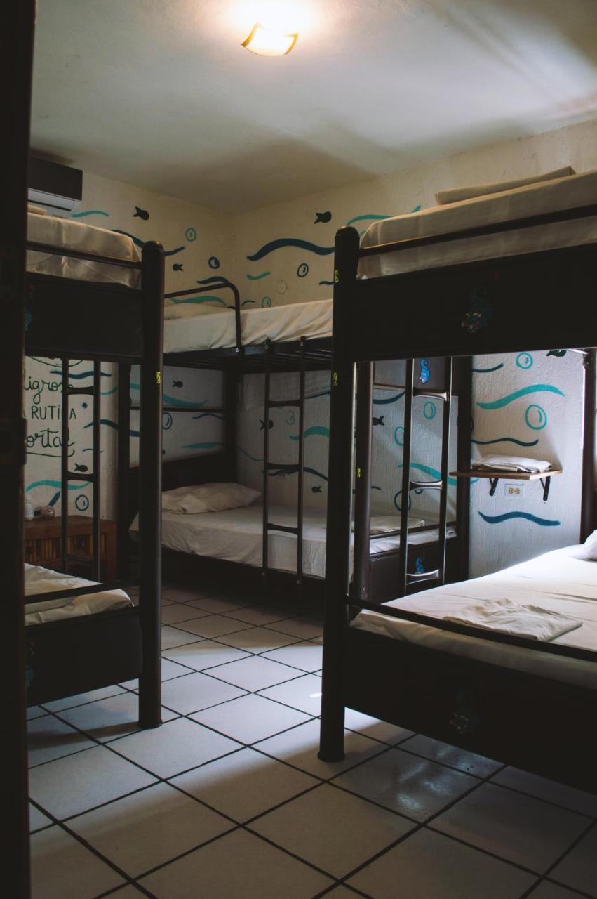 Kukulcan Hostel & Friends カンクン エクステリア 写真